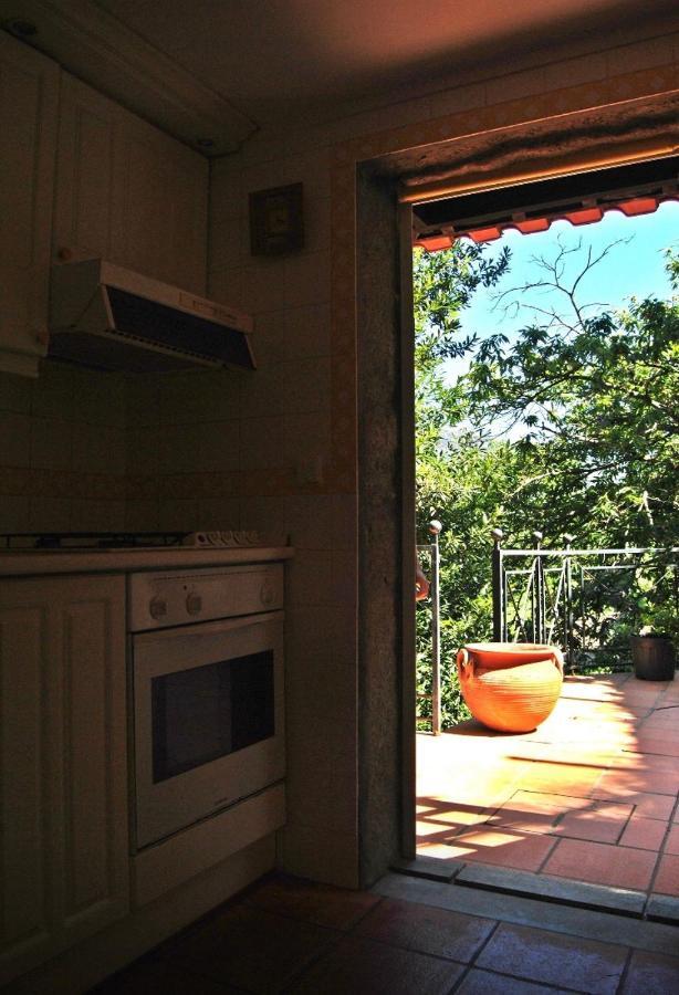 Villa Quinta Do Freixieiro à Cinfães Extérieur photo
